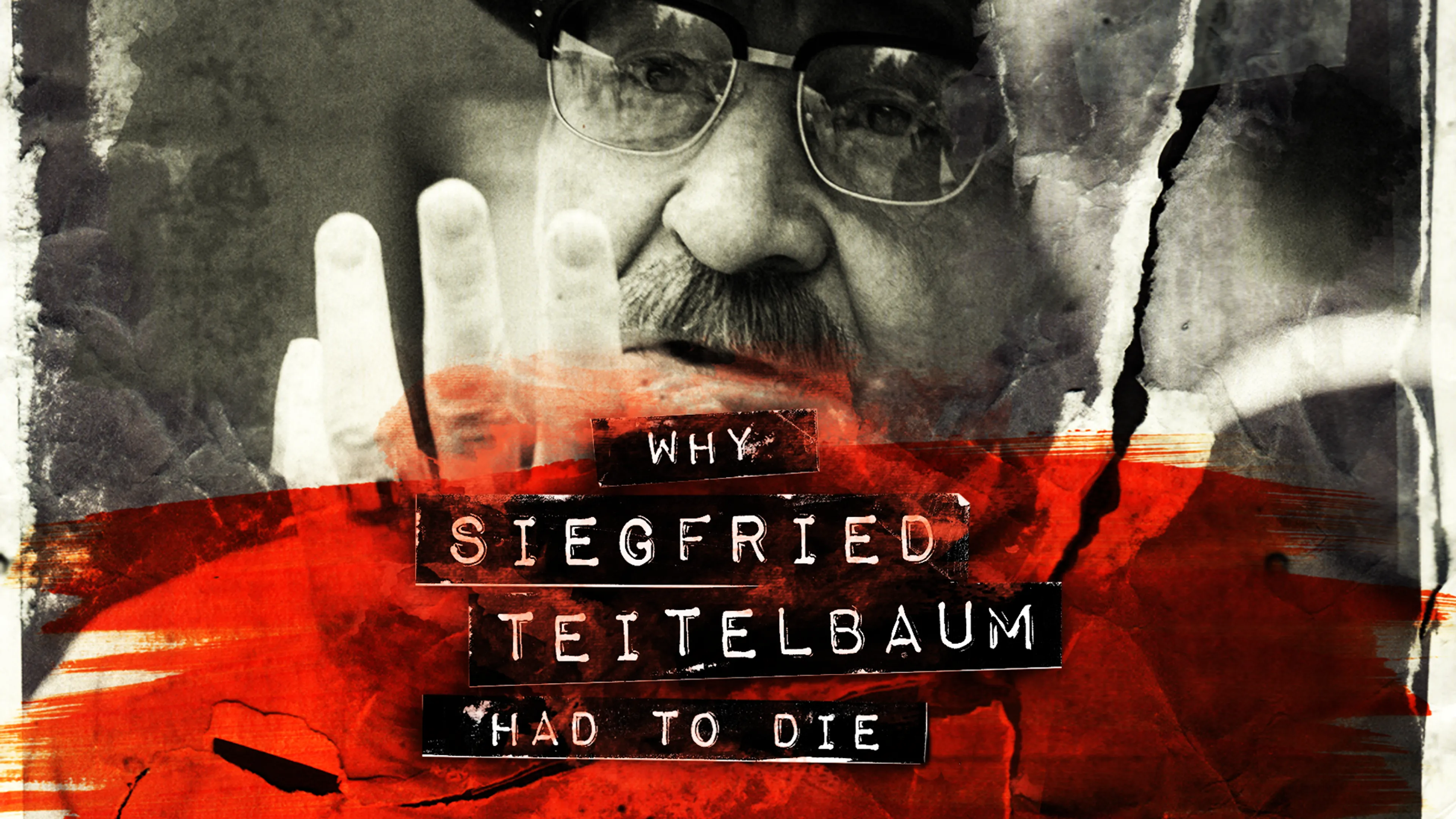 Why Siegfried Teitelbaum Had To Die poster